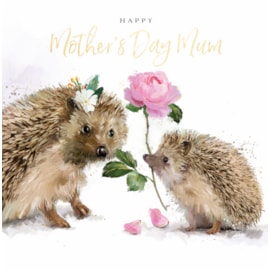 Ling Mothers Day A Rose For Mum