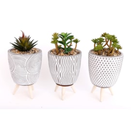 Sifcon Succulent Pot With Legs 13x9cm (OR1237)