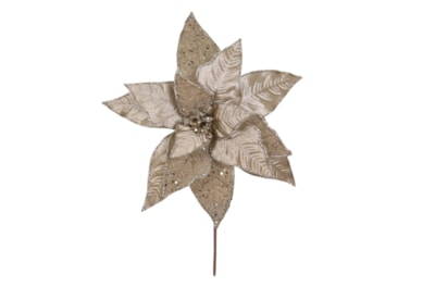 Festive Champagne/ Dark Gold Sequins Poinsettia 31cm
