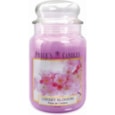 Prices Cherry Blossom Jar Candle Large Prices Cherry Blossom Jar Candle Large