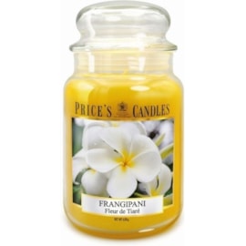 Prices Frangipani Jar Candle Large Prices Frangipani Jar Candle Large