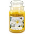 Prices Frangipani Jar Candle Large Prices Frangipani Jar Candle Large