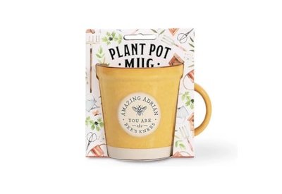 Plant Pot Mug Adrian Plant Pot Mug Adrian