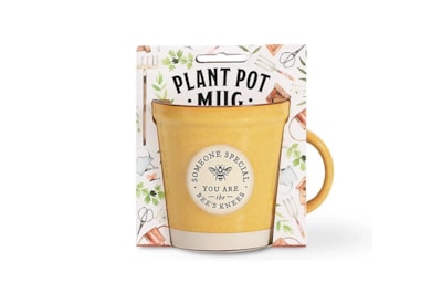 Plant Pot Mug Someone Special Plant Pot Mug Someone Special