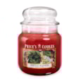 Prices Festive Warmth Jar Candle Medium Prices Festive Warmth Jar Candle Medium