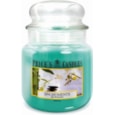 Prices Spa Moments Jar Candle Medium (PMJ010384)