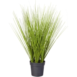 Grass In Plastic Pot 50cm (PT220015)