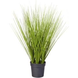 Grass In Plastic Pot 50cm Grass In Plastic Pot 50cm
