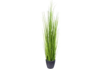 Grass In Plastic Pot 90cm (PT220017)