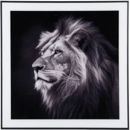 Photo Art Lion Glass Black & White (PT4127)