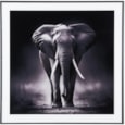 Photo Art Elephant Glass Black & White (PT4131)