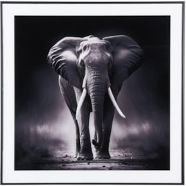 Photo Art Elephant Glass Black & White (PT4131)