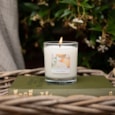 Freckleface Rhs Hertiage Citrus Burst Candle Freckleface Rhs Hertiage Citrus Burst Candle