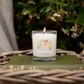 Freckleface Rhs Hertiage Citrus Burst Candle