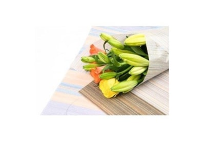 Random Sheets 20"x 30" 244's Random Sheets 20"x 30" 244's