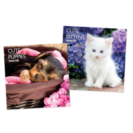 Square Calendars Puppies & Kittens Asst (0560)