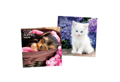 Square Calendars Puppies & Kittens Asst (0560)