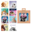 8 Birthday Card Mixed Pets Box 8s (4493)