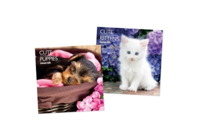 Square Calendars Puppies & Kittens Asst Square Calendars Puppies & Kittens Asst