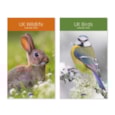 Midi Wall Calendar Birds/wildlife Midi Wall Calendar Birds/wildlife