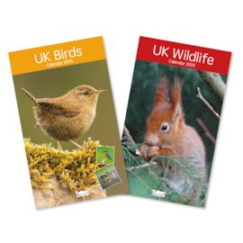 Midi Wall Calendar Birds/wildlife (553)