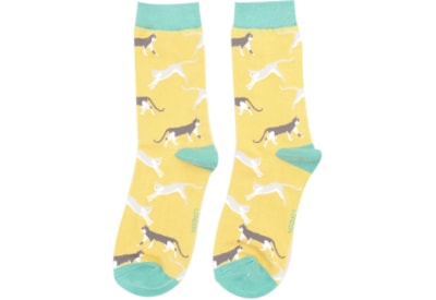 Miss Sparrow Wandering Cats Socks Yellow (SKS401YELLOW)