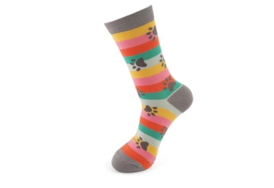 Miss Sparrow Paw Prints & Stripes Socks Bright (SKS427BRIGHT)
