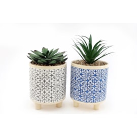 Sifcon Serenity Pot With Plant 24cm Sifcon Serenity Pot With Plant 24cm