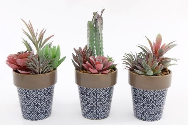 Sifcon Serenity Artificial Cactus W/flower 20cm (SR0065)