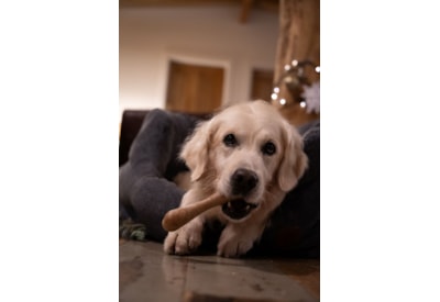 The Doggie Bistro Natural Bone Shaped Dog Chew The Doggie Bistro Natural Bone Shaped Dog Chew