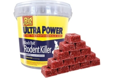 Big Cheese Ultra Power Block Bait 20g 15s Big Cheese Ultra Power Block Bait 20g 15s