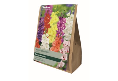 Taylors Gladioli 15's Taylors Gladioli 15's
