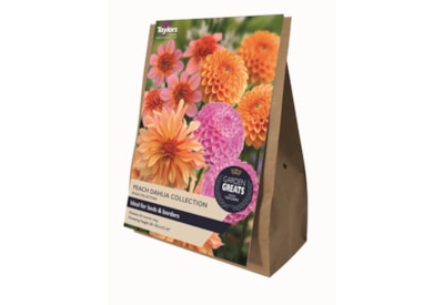 Taylors Greats Peach Dalia 4's Taylors Greats Peach Dalia 4's