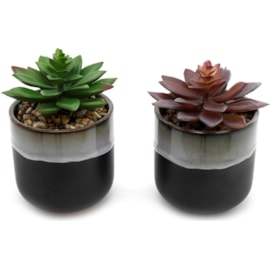 Sifcon Synergy Succulent Grey 8x13cm (SY0055)