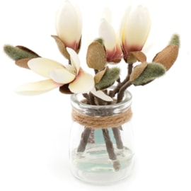 Sifcon Synergy Cream Magnolia Deco Sifcon Synergy Cream Magnolia Deco