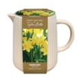 Taylors Tete A Tete Planter Taylors Tete A Tete Planter