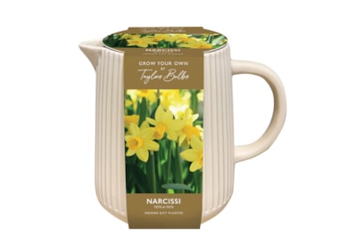 Taylors Tete A Tete Planter Taylors Tete A Tete Planter