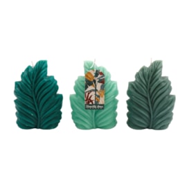 Sifcon Palm Leaf Shape Candle 10x15 (TP0003)