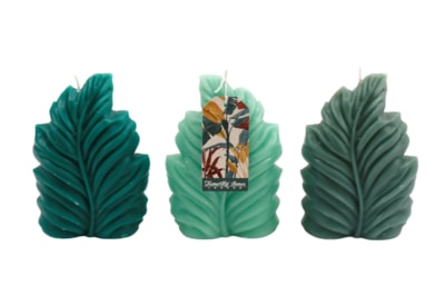 Sifcon Palm Leaf Shape Candle 10x15 (TP0003)