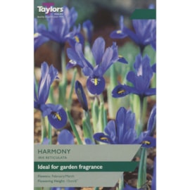 Taylors Iris Dwarf Harmony 30's (XL789)
