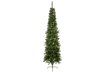 Premier Spruce Pine Tree 2m (TR650SE)