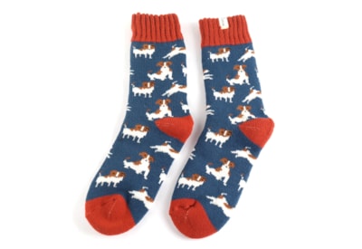 Miss Sparrow Winter Jack Russells Socks Navy Miss Sparrow Winter Jack Russells Socks Navy