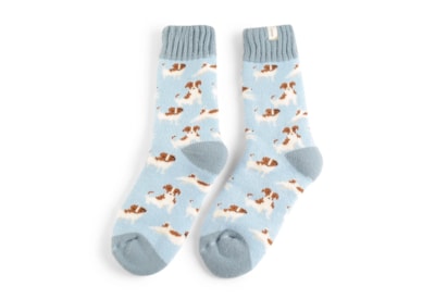 Miss Sparrow Winter Jack Russells Socks Powder Blue Miss Sparrow Winter Jack Russells Socks Powder Blue