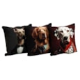Sifcon Dog Sc Cushion 45x45 Sifcon Dog Sc Cushion 45x45