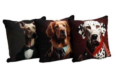 Sifcon Dog Sc Cushion 45x45 Sifcon Dog Sc Cushion 45x45