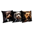 Sifcon Dog Sc Cushion 45x45 Sifcon Dog Sc Cushion 45x45