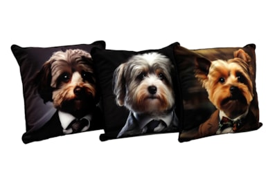 Sifcon Dog Sc Cushion 45x45 Sifcon Dog Sc Cushion 45x45