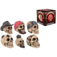 10Cm Resin Skull 6 Assorted In Colour Box 10Cm Resin Skull 6 Assorted In Colour Box