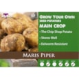 Tylrs Maris Piper Seed Potato 2kg (VAC484)