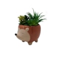 Heaven Sends Hedgehog Plant Pot (VBC001)